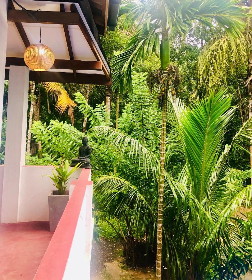 Le Cabanon Lägenhet Dikwella Exteriör bild